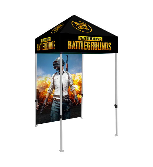 5x5 Canopy – Frame & Back Wall
